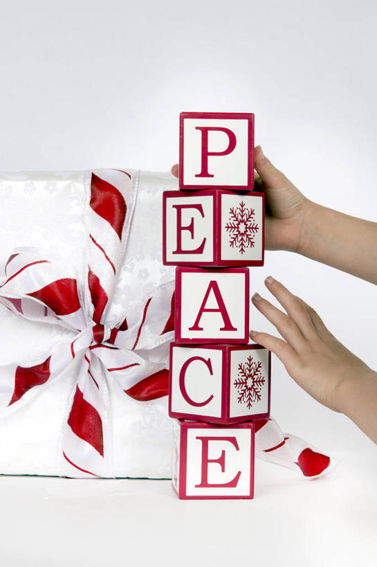 手,一个人,竖图,特写,白色背景,通讯,纯洁,礼物,美国,圣诞节,准备,庆祝,包装,文字,字母,圣诞礼物,单词,红色,白色,摄影,块状,英文字母,惊奇,协调,部分,创造力,简单,加利福尼亚,和平,渴望,创新,旧金山,想法,美术工艺,大写字母,休闲活动,彩图,影棚拍摄,传统文化