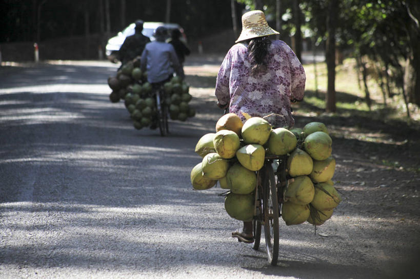 成年人,一个人,横图,室外,白天,商务,路,自行车,椰子,帽子,柬埔寨,仅一个女性,休闲装,饮食,车,脚踏车,树,骑,背面,交通工具,骑车,零售,平衡,运输,摄影,生活方式,运送,载具,贩卖,暹粒,暹粒省,半身,彩图,递送