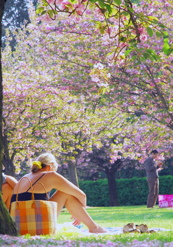 成年人,中年人,老年人,头发,两个人,公园,站,坐,竖图,室外,白天,樱花,日光,法国,巴黎,包,首都,休闲装,草,树,金色,放松,摄影,享乐,法兰西岛大区,老年男性,中年女性,休闲活动,彩图