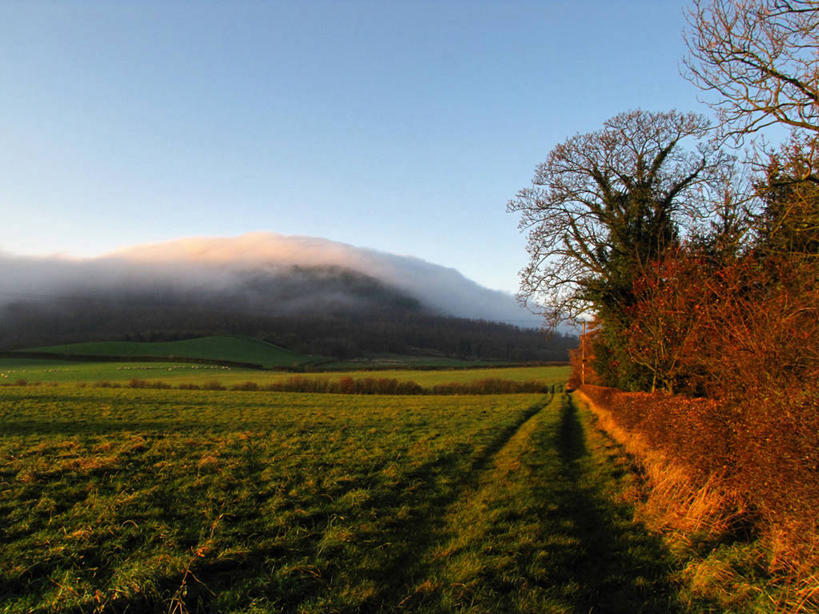 无人,横图,室外,美景,山,雾,英国,地形,景观,田地,黎明,树,天空,自然,景色,摄影,生长,宁静,自然风光,北约克郡,彩图