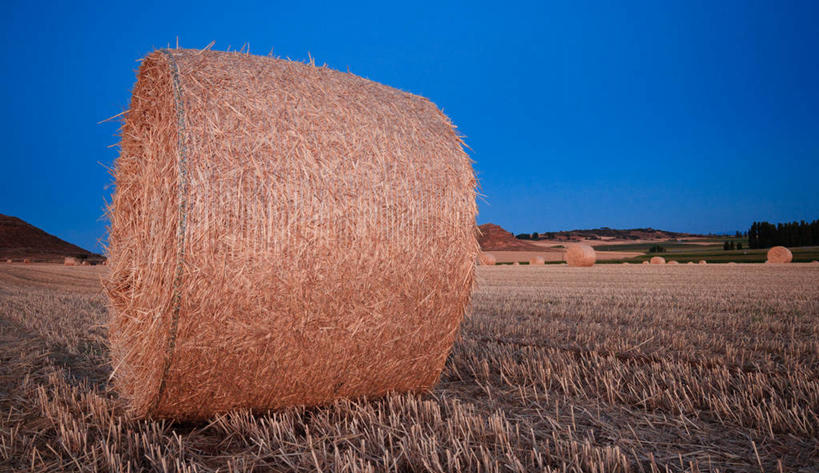 无人,横图,室外,白天,农业,美景,西班牙,景观,田地,干草,萨拉曼卡,自然,草垛,夏天,景色,摄影,生长,收获,宁静,自然风光,干草垛,彩图