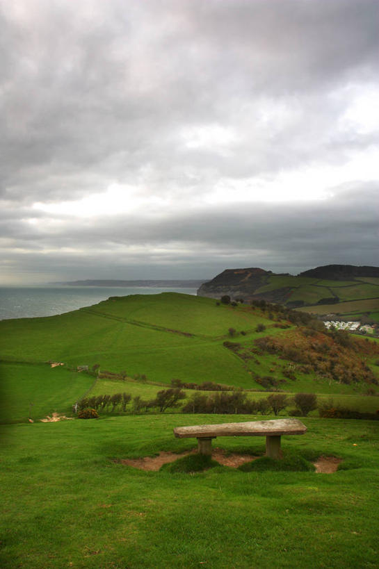 无人,竖图,室外,白天,英国,长椅,地形,云,树,绿色,风景,天空,自然,摄影,宁静,多塞特郡,彩图