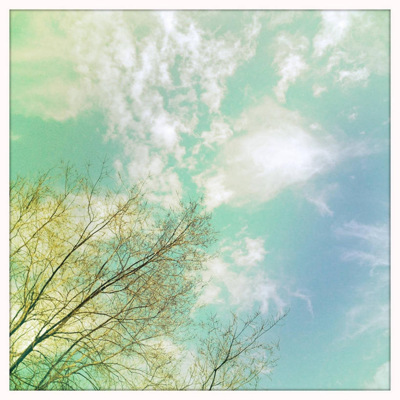 无人,方图,室外,白天,仰视,美景,加拿大,景观,云,首都,花蕾,树,风景,天空,自然,景色,摄影,宁静,自然风光,卷积云,渥太华,彩图,低角度拍摄