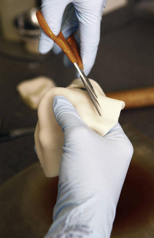 牙齿,一个人,竖图,俯视,室内,特写,安全,朦胧,模糊,防护,餐盘,拿着,英格兰,两个,手套,模仿,摄影,保护,部分,准确,假牙,保险,切断,假肢,保全,周全,安稳,安定,防护手套,颌骨,平安,齿,牙,牙龈,彩图,高角度拍摄