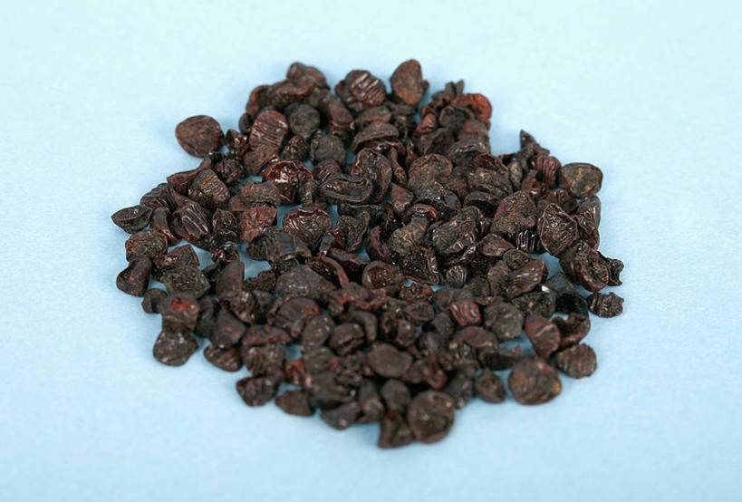 无人,横图,俯视,特写,苏丹,一群,许多,蓝色背景,昆虫,草药,很多,红色,摄影,干的,染料,彩图,高角度拍摄,影棚拍摄