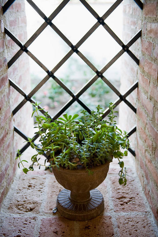 无人,竖图,室内,白天,日光,美国,装饰,砖,窗台,装饰物,北美,加利福尼亚