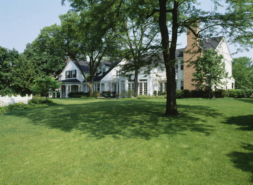 家,横图,黑白,烟囱,建筑,玻璃,日光,房屋,屋顶,院子,树荫,巨大,庞大,加法,宏大,硕大,伟大,门廊