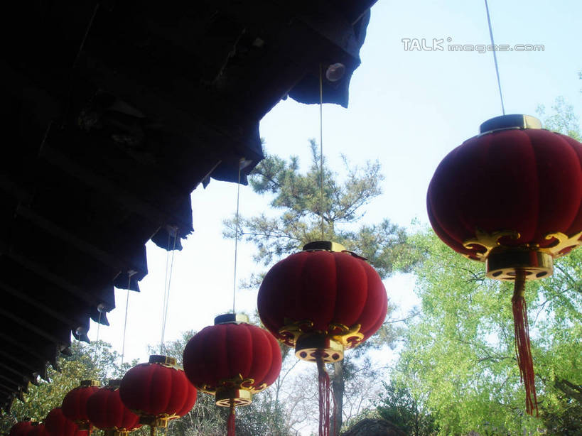 无人,横图,室外,白天,仰视,旅游,度假,名胜古迹,植物,标志建筑,地标,建筑,照明,一排,许多,吊挂,悬挂,阴影,遗迹,整齐,光线,灯笼,瓦片,影子,纸灯笼,墙,屋顶,屋檐,围墙,枝条,挂,顶棚,古迹,文物,娱乐,建设,古建筑,檐,墙壁,墙面,树,树干,树木,树枝,排列,红色,蓝色,绿色,蓝天,天空,阳光,自然,灯具,天,享受,休闲,旅游胜地,放松,生长,晴朗,成长,照亮,照明设备,队列,古文明,万里无云,虬枝,枝杈,晴空,晴空万里,彩图,低角度拍摄,hascy1