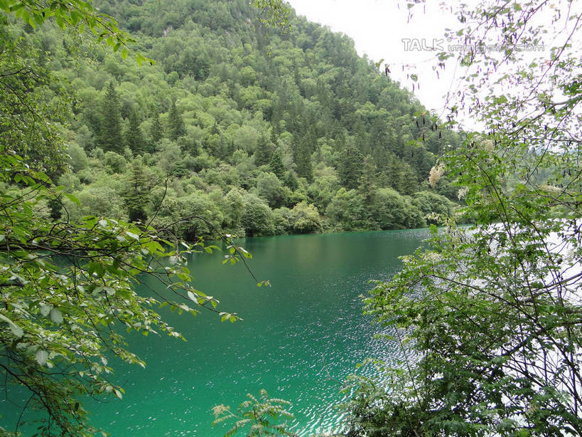 无人,横图,室外,白天,正面,旅游,度假,河流,美景,山,山脉,树林,水,植物,九寨沟,中国,亚洲,阴影,光线,影子,河水,景观,山峰,水流,山峦,娱乐,树,树木,绿色,倒影,天空,阳光,自然,群山,天,享受,休闲,景色,放松,四川省,生长,成长,波光粼粼,倒映,自然风光,东亚,四川,阿坝,中华人民共和国,西南地区,阿坝藏族羌族自治州,阿坝州,川,九寨沟县,反照,彩图,九寨沟风景区,四川九寨沟风景名胜区,hascy1