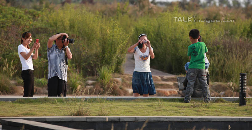 东方人,儿童,四个人,公园,站,横图,室外,白天,正面,旅游,度假,纯洁,草地,草坪,美景,植物,相机,中国,亚洲,阴影,光线,影子,景观,黄种人,娱乐,山东,草,树,树木,小孩,拍照,绿色,阳光,自然,数码相机,站着,享受,休闲,景色,单反,放松,可爱,童年,童趣,摄影,生长,成长,单反相机,自然风光,童真,东亚,烂漫,无邪,山东省,日照,中华人民共和国,华东地区,弯身,鲁,日照市,荻水湿地公园,岚山区,天真,男孩,男人,男性,年轻女性,女人,女性,中年男性,亚洲人,孩子,照相机,站立,半身,彩图,照相,男生,rzwdb1