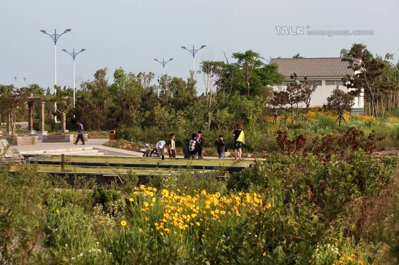 东方人,公园,家,站,横图,室外,白天,正面,旅游,度假,草地,草坪,花海,花圃,美景,植物,路灯,叶子,照明,中国,亚洲,许多,游客,游人,阴影,盛开,光线,影子,房屋,屋子,景观,灯光,地面,许多人,花蕾,黄种人,娱乐,山东,楼房,住宅,灯,草,花,花瓣,花朵,花卉,鲜花,树,树木,黄色,蓝色,绿色,蓝天,天空,阳光,自然,花丛,花束,花田,天,花苞,花蕊,站着,一群人,享受,休闲,景色,放松,生长,晴朗,成长,照亮,照明设备,自然风光,东亚,山东省,日照,万里无云,中华人民共和国,华东地区,鲁,日照市,荻水湿地公园,岚山区,男人,男性,年轻男性,年轻女性,女人,女性,亚洲人,晴空,晴空万里,站立,彩图,全身,房子,rzwdb1