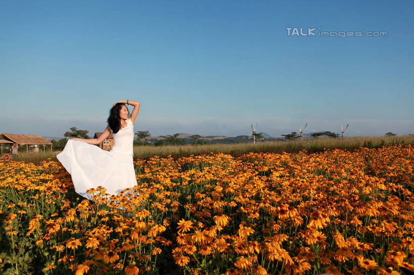 东方人,一个人,站,笑,摸,微笑,露齿笑,横图,室外,白天,正面,裙子,旅游,度假,草地,草坪,花海,花圃,美景,植物,叶子,中国,亚洲,仅一个年轻女性,仅一个女性,仅一个人,许多,抚摸,握,阴影,连衣裙,装饰,盛开,光线,影子,景观,绿叶,拿,花蕾,拿着,扭头,注视,黄种人,娱乐,山东,草,花,花瓣,花朵,花卉,鲜花,黄色,红色,蓝色,绿色,紫色,白色,蓝天,天空,阳光,自然,饰品,手链,花丛,花田,天,花苞,花蕊,低头,观察,看,站着,转头,享受,休闲,嫩叶,菊花,景色,放松,握着,生长,晴朗,成长,观看,华丽,修饰,点缀,察看,关注,自然风光,东亚,山东省,日照,金光菊,万里无云,中华人民共和国,华东地区,衬托,美观,雅致,雅观,鲁,日照市,臭菊,黑眼菊,花仙子风景区,年轻女性,女人,女性,亚洲人,叶,叶片,晴空,晴空万里,触摸,接触,站立,彩图,全身,rzwdb1