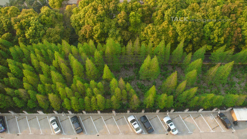 无人,停车场,横图,俯视,室外,白天,度假,美景,树林,植物,城市风光
