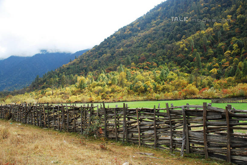 无人,农场,栏杆,横图,室外,白天,正面,旅游,度假,畜牧业,牧场,草地,草坪,石头,美景,山,山脉,树林,植物,中国,亚洲,阴影,光线,石子,影子,栅栏,景观,篱笆,山顶,山峰,围栏,山峦,娱乐,护栏,波密,西藏,草,树,树木,蓝色,绿色,蓝天,天空,阳光,自然,群山,天,享受,休闲,景色,放松,生长,晴朗,成长,自然风光,藏,东亚,西藏自治区,畜牧,万里无云,中华人民共和国,西南地区,牧业,颠峰,极峰,石块,晴空,晴空万里,彩图,波密县,易贡乡,shqxy1