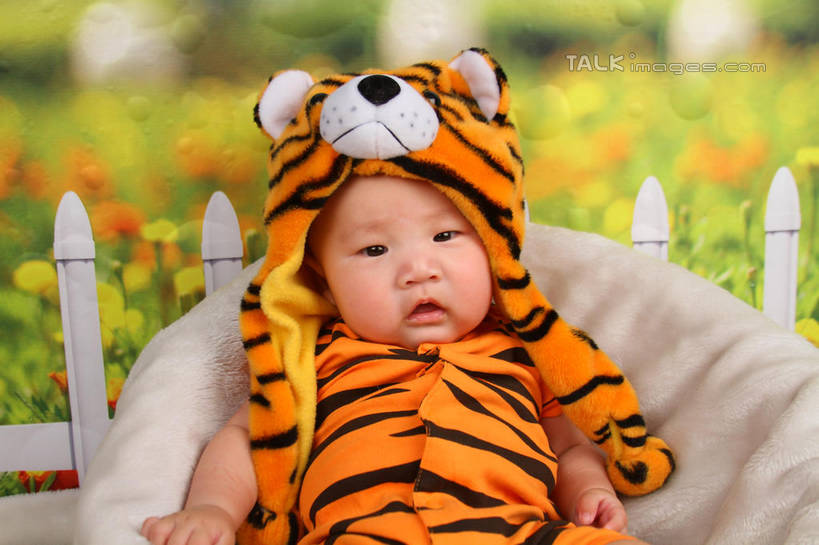 东方人,婴儿,儿童,一个人,坐,横图,室内,白天,背景,正面,纯洁,沙发,帽子,纺织品,亚洲,仅一个人,服装,朦胧,模糊,装饰,毛毯,毯子,注视,黄种人,纺织,小孩,衣服,垫子,观察,看,温暖,可爱,摄影,服饰,活泼,影棚,观看,华丽,修饰,点缀,察看,衣着,穿着,关注,宝宝,表演服,演出服,布艺沙发,纯真,烂漫,无邪,衬托,美观,雅致,雅观,衣饰,道具服,伶俐,天真,亚洲人,孩子,老虎,坐着,半身,布景,彩图,影棚拍摄,拍摄,shsc1