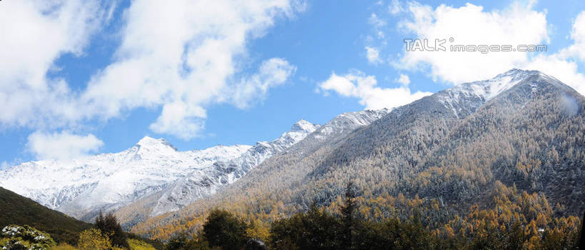 无人,横图,室外,白天,正面,旅游,度假,草地,草坪,美景,山,树林,雪,雪山,植物,大雪,中国,亚洲,阴影,光线,影子,积雪,景观,山峰,雪景,云,云朵,冬天,山峦,云彩,娱乐,草,树,树木,蓝色,绿色,白云,蓝天,天空,阳光,自然,天,享受,休闲,景色,放松,四川省,生长,成长,自然风光,东亚,四川,阿坝,中华人民共和国,西南地区,阿坝藏族羌族自治州,阿坝州,川,海子沟,四姑娘山,彩图,shsgf1