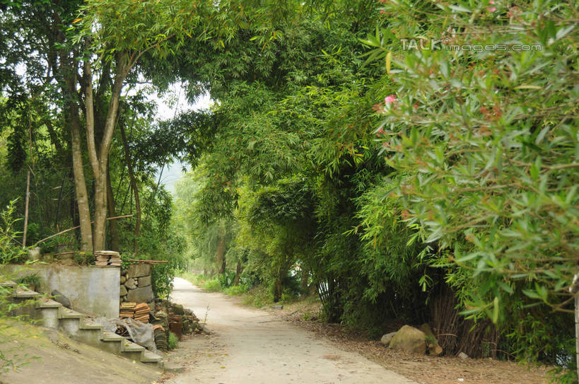 无人,横图,室外,白天,正面,旅游,度假,草地,草坪,美景,植物,楼梯,道路,路,阴影,光线,影子,阶梯,景观,小路,交通,娱乐,台阶,草,树,树木,绿色,天空,阳光,自然,天,享受,休闲,景色,放松,生长,晴朗,成长,自然风光,万里无云,古韵画乡,晴空,晴空万里,彩图,shsgf1