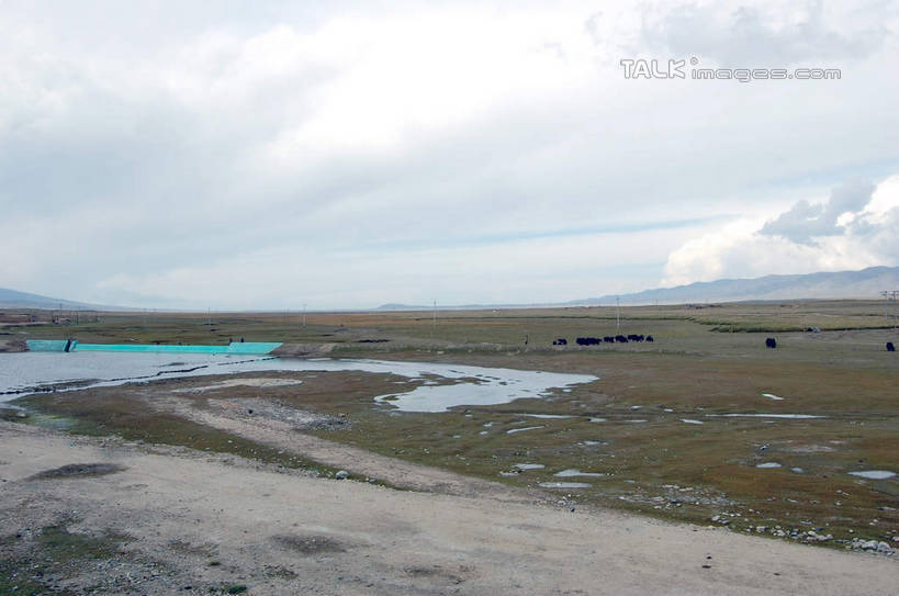 无人,农场,横图,室外,白天,正面,旅游,度假,畜牧业,牧场,草地,草坪,美景,山,山脉,植物,青海湖,中国,亚洲,景观,山峰,乌云,云,阴天,云朵,山峦,云彩,娱乐,草,绿色,天空,自然,群山,天,享受,休闲,景色,放松,昏暗,阴沉,自然风光,东亚,畜牧,青海,青海省,中华人民共和国,牧业,西北地区,青,咸水湖,彩图,shsgf1