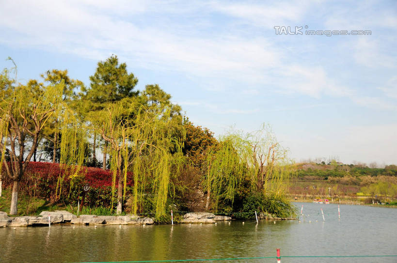 无人,公园,横图,室外,白天,正面,旅游,度假,湖,湖泊,美景,水,植物,柳树,上海,中国,亚洲,阴影,波纹,光线,影子,湖面,景观,水流,水面,云,云朵,涟漪,云彩,娱乐,垂柳,树,树木,蓝色,绿色,白云,蓝天,水纹,天空,阳光,自然,波浪,湖水,天,享受,休闲,景色,放松,生长,晴朗,成长,申,自然风光,东亚,闵行区,上海市,闵行体育公园,中华人民共和国,沪,华东地区,水晕,倒挂柳,晴空,垂枝柳,彩图,shsgf1