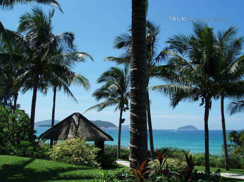 无人,横图,室外,白天,正面,旅游,度假,草地,草坪,海浪,海洋,美景,植物,棕榈树,叶子,三亚,中国,亚洲,阴影,光线,影子,景观,浪花,绿叶,娱乐,草,树,树木,海南,蓝色,绿色,蓝天,天空,阳光,自然,海水,天,享受,休闲,嫩叶,景色,放松,海南省,生长,晴朗,成长,自然风光,海景,东亚,棕榈叶,三亚市,万里无云,中华人民共和国,华南地区,琼,叶,叶片,大海,风浪,海,海水的波动,近岸浪,涌浪,晴空,晴空万里,棕树,棕榈,彩图,shslj1