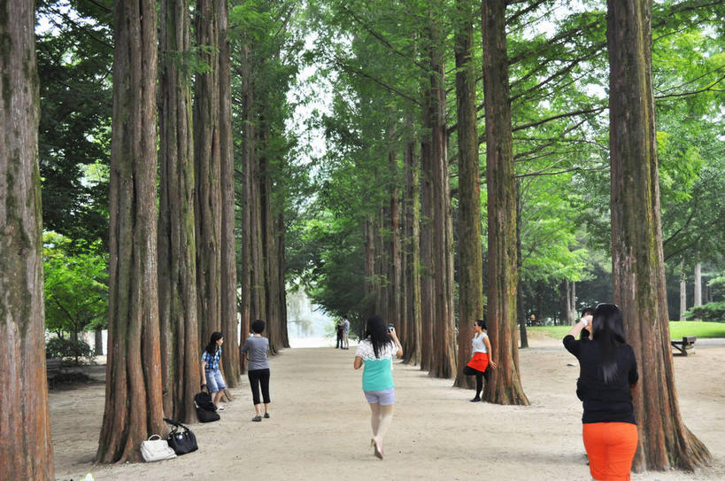 东方人,站,走,横图,室外,白天,正面,旅游,度假,美景,森林,树林,植物,松树,春川,南怡岛,韩国,亚洲,行人,游客,游人,服装,景观,树桩,许多人,休闲装,黄种人,娱乐,路人,旅客,树,树干,树木,衣服,绿色,自然,站着,一群人,享受,休闲,休闲服,木桩,景色,放松,服饰,生长,成长,自然风光,杉树,坚定,东亚,长寿,贞洁,大韩民国,江原道,春川市,过客,男人,男性,年轻男性,年轻女性,女人,女性,亚洲人,步行,散步,站立,走路,半身,彩图,道,shslj1