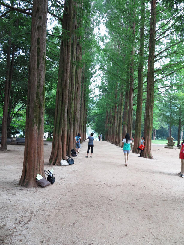 东方人,走,竖图,室外,白天,旅游,度假,美景,森林,树林,植物,松树,春川,南怡岛,韩国,亚洲,行人,游客,游人,服装,包,皮包,景观,许多人,注视,休闲装,黄种人,娱乐,路人,旅客,树,树木,背面,衣服,绿色,自然,观察,看,一群人,享受,休闲,休闲服,景色,放松,服饰,生长,成长,观看,单肩包,察看,关注,自然风光,杉树,坚定,东亚,长寿,贞洁,大韩民国,江原道,春川市,水杉,过客,男人,男性,年轻男性,年轻女性,女人,女性,亚洲人,步行,散步,走路,半身,彩图,道,shslj1