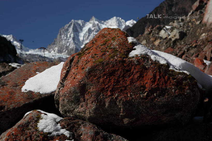 无人,横图,室外,白天,仰视,旅游,度假,石头,美景,森林,山,树林,雪,雪山,植物,大雪,贡嘎山,中国,亚洲,阴影,光线,石子,影子,冰,积雪,景观,山顶,山峰,雪景,冬季,冬天,山峦,娱乐,树,树木,蓝色,绿色,蓝天,天空,阳光,自然,天,享受,休闲,景色,放松,寒冷,四川省,生长,晴朗,成长,冰冷,自然风光,东亚,沉积岩,四川,甘孜藏族自治州,万里无云,中华人民共和国,西南地区,严寒,川,甘孜,甘孜州,冰凉,酷寒,凛冽,凛凛,极冷,保护区,颠峰,极峰,自然保护区,贡嘎山风景区,贡嘎山国家级自然保护区,贡嘎山自然保护区,水成岩,石块,岩石,晴空,晴空万里,彩图,低角度拍摄,shtjw1
