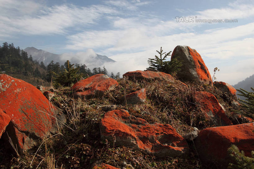 无人,横图,室外,白天,正面,旅游,度假,石头,美景,森林,山,树林,雪,雪山,植物,雾,大雪,贡嘎山,中国,亚洲,阴影,朦胧,模糊,光线,石子,影子,冰,积雪,景观,山顶,山峰,雪景,云,云朵,冬季,冬天,山峦,云彩,娱乐,树,树木,蓝色,绿色,白云,蓝天,天空,阳光,自然,天,享受,休闲,景色,放松,寒冷,四川省,生长,晴朗,成长,迷雾,冰冷,自然风光,东亚,沉积岩,四川,甘孜藏族自治州,中华人民共和国,西南地区,严寒,川,甘孜,甘孜州,冰凉,酷寒,凛冽,凛凛,极冷,保护区,颠峰,极峰,自然保护区,贡嘎山风景区,贡嘎山国家级自然保护区,贡嘎山自然保护区,水成岩,石块,岩石,大雾,晴空,彩图,shtjw1