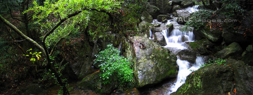 无人,横图,俯视,室外,白天,旅游,度假,河流,石头,美景,山,山脉,水,植物,中国,亚洲,阴影,光线,石子,影子,河水,景观,山顶,山峰,水流,青苔,苔藓,山峦,娱乐,临安,浙江,树,树木,浙江省,绿色,小溪,阳光,自然,群山,溪水,享受,休闲,景色,放松,生长,成长,杭州,自然风光,东亚,沉积岩,天目山,杭州市,中华人民共和国,华东地区,省会,浙,颠峰,极峰,水成岩,石块,岩石,彩图,高角度拍摄,临安市,shtjw1