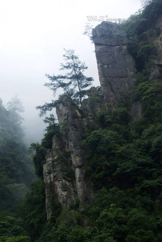 无人,竖图,室外,白天,正面,旅游,度假,日出,美景,森林,山,山脉,树林,太阳,植物,雾,中国,亚洲,朦胧,模糊,景观,山峰,朝霞,晨曦,黎明,山峦,娱乐,临安,浙江,树,树木,浙江省,绿色,阳光,自然,群山,享受,休闲,景色,放松,生长,成长,浙西大峡谷,杭州,迷雾,自然风光,东亚,杭州市,中华人民共和国,华东地区,省会,浙,朝阳,大雾,彩图,卯时,破晓,日始,临安市,清凉峰国家级自然保护区,shwf1