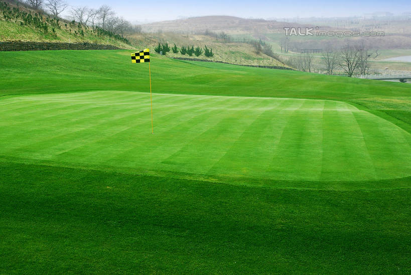 无人,横图,室外,白天,正面,度假,草地,草坪,美景,山,山脉,植物,城市风光,城市,中国,亚洲,阴影,光线,影子,景观,山峰,球场,枝条,山峦,娱乐,蓬莱,山东,烟台,君顶酒庄,高尔夫球场,草,树,树木,树枝,蓝色,绿色,蓝天,天空,阳光,自然,群山,天,享受,休闲,景色,放松,生长,晴朗,成长,绿茵场,东亚,山东省,万里无云,中华人民共和国,华东地区,鲁,烟台市,虬枝,枝杈,晴空,晴空万里,彩图,中粮南王山谷君顶酒庄,中粮君顶酒庄,蓬莱市,shwf1