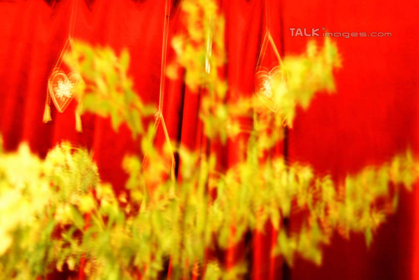 无人,横图,室内,特写,白天,正面,阴影,朦胧,模糊,盛开,反射,影子,墙,花蕾,墙壁,墙面,花,花瓣,花朵,鲜花,黄色,红色,花苞,花蕊,彩图,shxw1