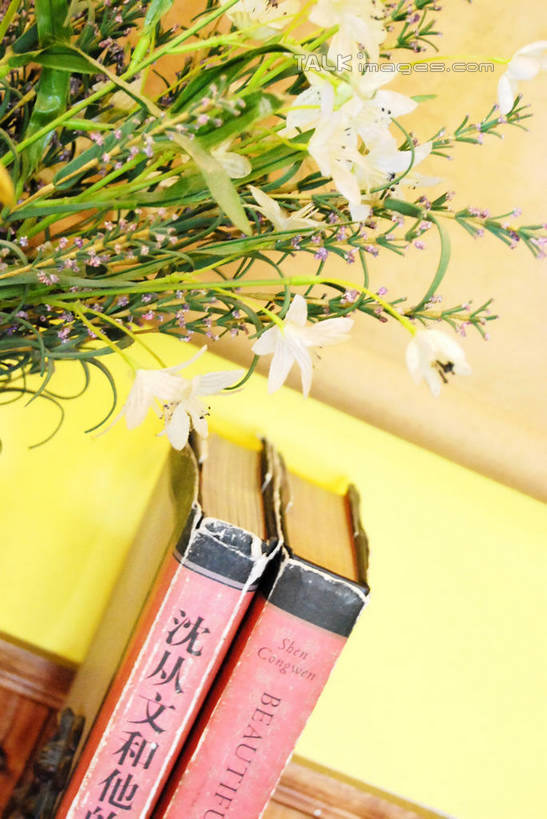 无人,竖图,俯视,室内,特写,白天,智慧,桌面,桌子,花瓶,书籍,叶子,阴影,艺术,盛开,反射,木制,影子,陶瓷,木桌,墙,绿叶,陶瓷制品,花蕾,文化,墙壁,墙面,花,花瓣,花朵,鲜花,插花,木制品,瓶子,书本,花苞,花蕊,嫩叶,插花艺术,创造,创作,想象,叶,叶片,书,图书,彩图,高角度拍摄,木桌子,shxw1