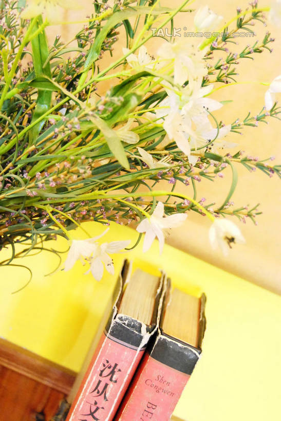 无人,竖图,俯视,室内,特写,白天,智慧,桌面,桌子,花瓶,书籍,叶子,阴影,艺术,盛开,反射,木制,影子,陶瓷,木桌,墙,绿叶,陶瓷制品,花蕾,文化,墙壁,墙面,花,花瓣,花朵,鲜花,插花,木制品,瓶子,书本,花苞,花蕊,嫩叶,插花艺术,创造,创作,想象,叶,叶片,书,图书,彩图,高角度拍摄,木桌子,shxw1