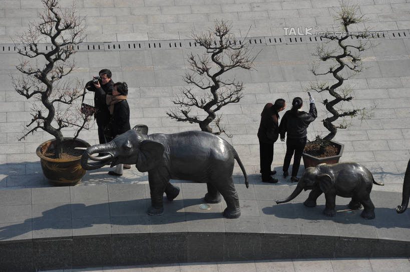 东方人,四个人,站,横图,俯视,室外,白天,仰视,度假,美景,植物,城市风光,城市,大象,相机,雕塑,上海,中国,亚洲,行人,游客,游人,握,服装,艺术,装饰,雕刻,雕像,盆栽,景观,盆景,拿,拿着,注视,休闲装,黄种人,娱乐,路人,旅客,树,树木,拍照,衣服,绿色,自然,数码相机,工艺品,观察,看,站着,享受,休闲,休闲服,景色,放松,握着,摄影,服饰,生长,成长,观看,纪念,美术,申,察看,关注,主题,陈列,东亚,上海市,中华人民共和国,沪,华东地区,功能,美学,过客,盆景树,盆栽树,男人,男性,女人,女性,中年男性,中年女性,亚洲人,照相机,站立,彩图,低角度拍摄,高角度拍摄,全身,照相,shzxz1