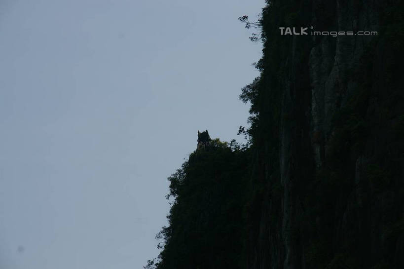 无人,横图,室外,白天,仰视,旅游,度假,石头,美景,山,山脉,植物,越南,亚洲,阴影,光线,石子,影子,景观,山峰,山峦,娱乐,树,树木,蓝色,绿色,蓝天,天空,阳光,自然,群山,天,享受,休闲,景色,放松,东南亚,生长,晴朗,成长,自然风光,下龙湾,万里无云,越南社会主义共和国,自然遗产,广宁省,石块,岩石,晴空,晴空万里,彩图,低角度拍摄,shzyn1
