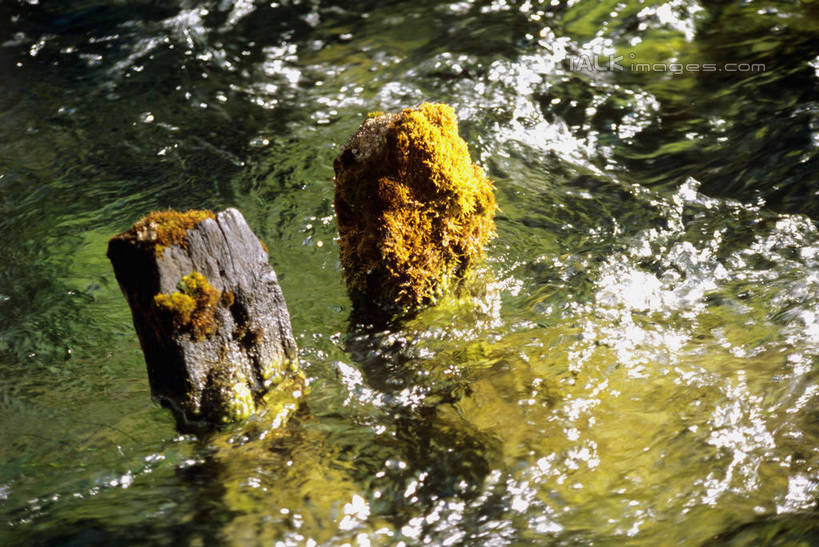 无人,横图,俯视,室外,白天,旅游,度假,河流,石头,美景,水,九寨沟,中国,亚洲,飞溅,溅,石子,液体,河水,景观,水滴,水流,娱乐,水珠,自然,享受,休闲,景色,放松,四川省,喷洒,自然风光,东亚,四川,阿坝,中华人民共和国,西南地区,阿坝藏族羌族自治州,阿坝州,川,九寨沟县,九寨沟风景名胜区,漳扎镇,石块,岩石,彩图,高角度拍摄,九寨沟风景区,四川九寨沟风景名胜区,szzm1