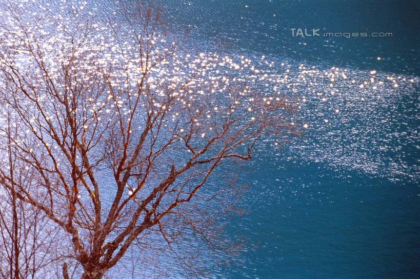 无人,横图,俯视,室外,白天,旅游,度假,河流,美景,水,植物,九寨沟,中国,亚洲,阴影,波纹,光线,影子,河水,景观,水流,枝条,涟漪,娱乐,树,树木,树枝,绿色,水纹,阳光,自然,波浪,享受,休闲,景色,放松,四川省,生长,成长,波光粼粼,自然风光,东亚,四川,阿坝,中华人民共和国,水晕,西南地区,阿坝藏族羌族自治州,阿坝州,川,九寨沟县,虬枝,枝杈,九寨沟风景名胜区,漳扎镇,彩图,高角度拍摄,九寨沟风景区,四川九寨沟风景名胜区,szzm1