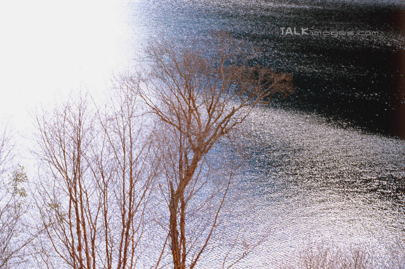 无人,横图,俯视,室外,白天,旅游,度假,河流,美景,水,植物,九寨沟,中国,亚洲,阴影,波纹,光线,影子,河水,景观,水流,枝条,涟漪,娱乐,树,树木,树枝,绿色,水纹,阳光,自然,波浪,享受,休闲,景色,放松,四川省,生长,成长,波光粼粼,自然风光,东亚,四川,阿坝,中华人民共和国,水晕,西南地区,阿坝藏族羌族自治州,阿坝州,川,九寨沟县,虬枝,枝杈,九寨沟风景名胜区,漳扎镇,彩图,高角度拍摄,九寨沟风景区,四川九寨沟风景名胜区,szzm1