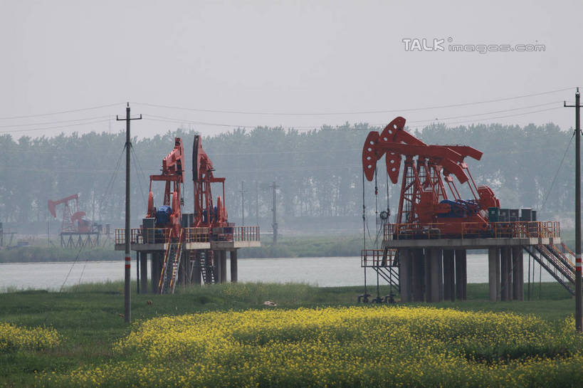 无人,栏杆,横图,室外,白天,正面,旅游,度假,草地,草坪,河流,美景,树林,水,植物,楼梯,中国,亚洲,一排,许多,阴影,环保,整齐,盛开,电力,光线,钢材,电缆,电线,影子,支架,阶梯,河水,景观,水流,围栏,花蕾,娱乐,电塔,江苏,护栏,台阶,草,花,花瓣,花朵,鲜花,树,树木,排列,黄色,绿色,天空,阳光,自然,天,花苞,花蕊,油菜花,享受,休闲,和谐,景色,放松,生长,能源,成长,支撑,生态,回收,资源,队列,自然风光,供电设备,开采,钻井,油田,利用,低碳,东亚,循环,高压电塔,高压输电线,江苏省,扬州,两座,中华人民共和国,华东地区,苏,江苏油田,扬州市,高压电线塔,高压塔,持续,彩图,芸苔,芸薹,tascy1
