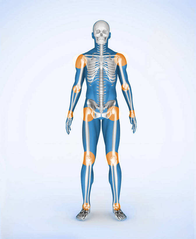 骨骼,关节,一个人,无人,竖图,室内,白天,白色背景,正面,数码,科技,仅一个男性,仅一个人,阴影,网络,骨头,高光,几何,计算机图形,合成,裸露,仅一个年轻男性,电脑合成图,数码合成图,骨架,合成图,裸,写实,具体,具象,男人,男性,年轻男性,彩图,全身