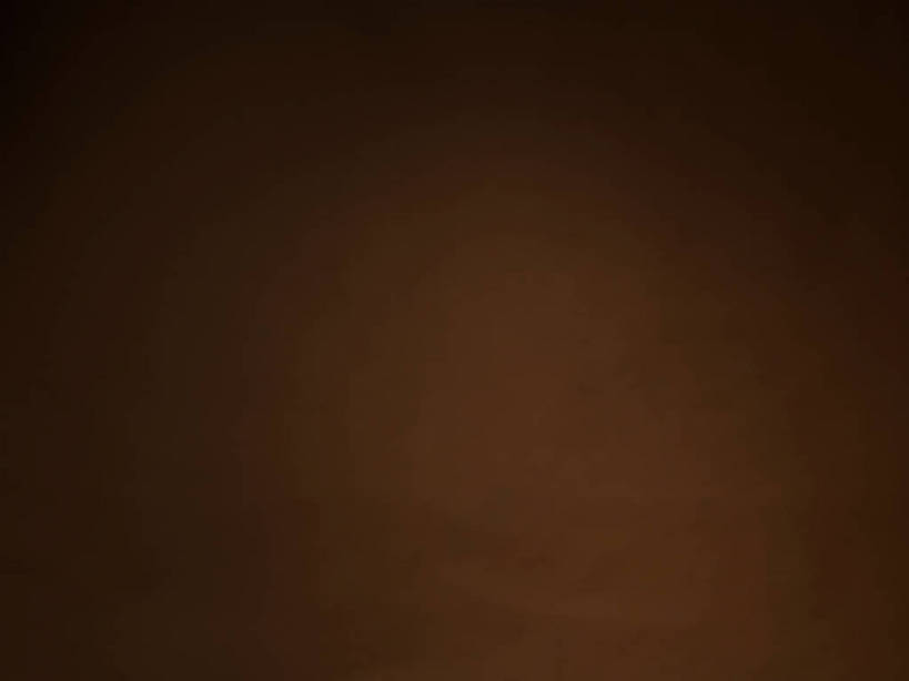 无人,横图,室内,特写,白天,正面,静物,丰富,褐色,成熟,摄影,影棚,褐色背景,摄影棚,谦让,随和,彩图,影棚拍摄,拍摄,shjb1