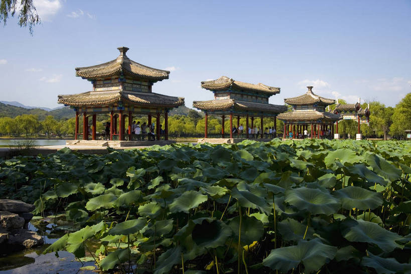 宫殿,横图,室外,白天,湖,建筑,避暑山庄,中国,亚洲,荷叶,历史,古代,旅游胜地,摄影,东亚,世界文化遗产,中华人民共和国,华北地区,河北,河北省,冀,承德,承德市,古远,展馆,彩图,承德避暑山庄,承德离宫,热河行宫,bj174