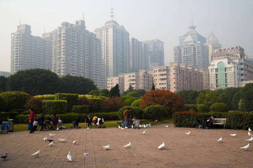 人群,广场,横图,彩色,室外,旅游,度假,美景,树林,天际线,城市风光,城市,大厦,建筑,公路,汽车,鸽子,中国,亚洲,景观,交通,娱乐,现代,现代建筑,和平鸽,旅客,特色,车,白云,蓝天,绿地,绿化带,天,享受,休闲,广阔,景色,便捷,放松,运输,摄影,生活方式,经济,轮廓,居住,美好,文明,城市广场,参观,东亚,发展,福建省,中华人民共和国,快捷,开阔,福州,福州市,繁荣,进步,发达,交流,彩图,观光,旅行,高楼,居住区,快速路,bj174