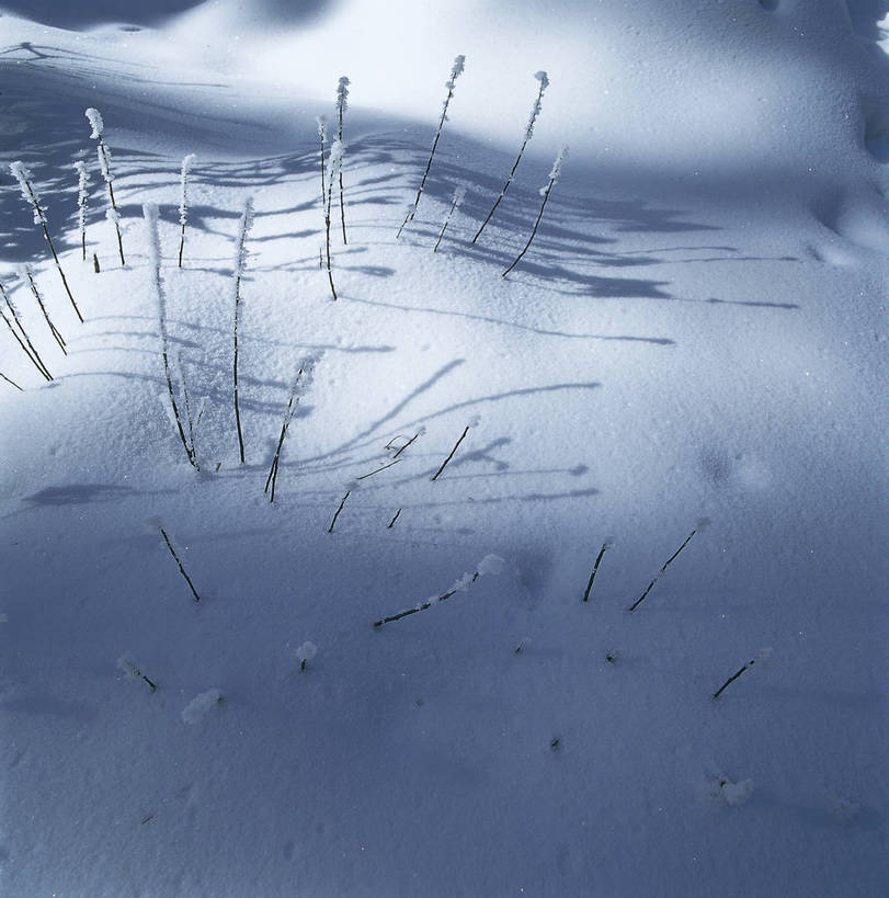 竖图,彩色,室外,特写,白天,旅游,雪,中国,亚洲,局部,景观,雪地,冬天,自然,竖,摄影,人文景观,矗立,耸立,东亚,地貌,新疆,中华人民共和国,挺立,苍凉,旅行,地质,bj174