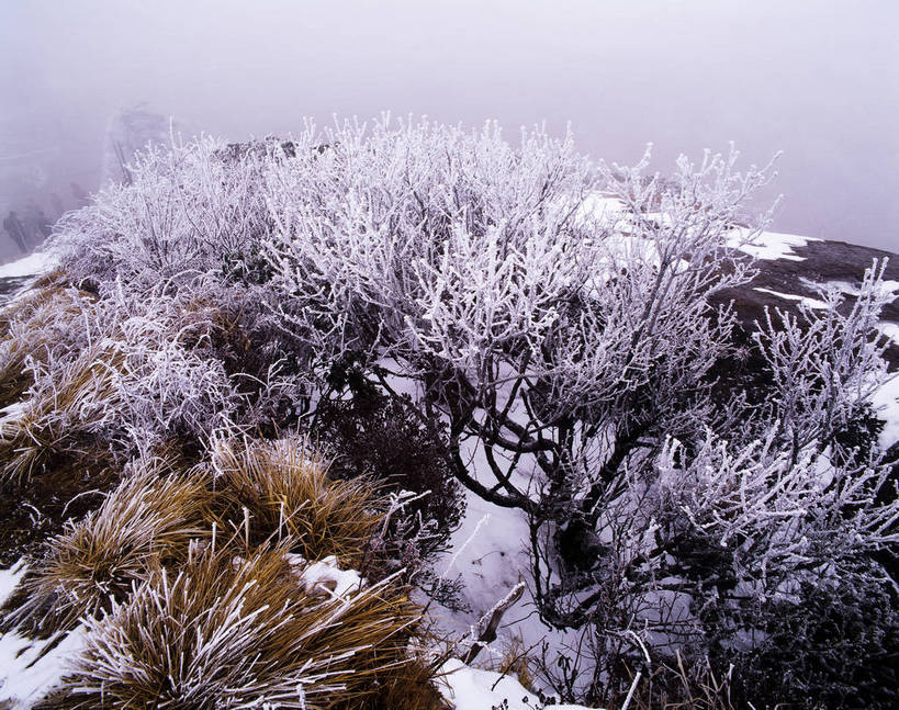 横图,室外,白天,美景,树林,雪,中国,亚洲,景观,乡村,冬季,冬天,下雪,农村,冰冻,树,树木,树枝,自然,景色,摄影,自然风光,东亚,中华人民共和国,彩图,雪乡,东北,bj174