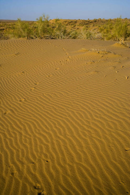 无人,竖图,彩色,室外,特写,白天,旅游,度假,名胜古迹,沙漠,植物,标志建筑,地标,建筑,中国,亚洲,局部,遗迹,古迹,文物,娱乐,建设,古建筑,自然,享受,休闲,旅游胜地,放松,竖,摄影,自然风光,沙砾,古文明,东亚,新疆,中华人民共和国,阿勒泰,沙棘,旅行,bj174