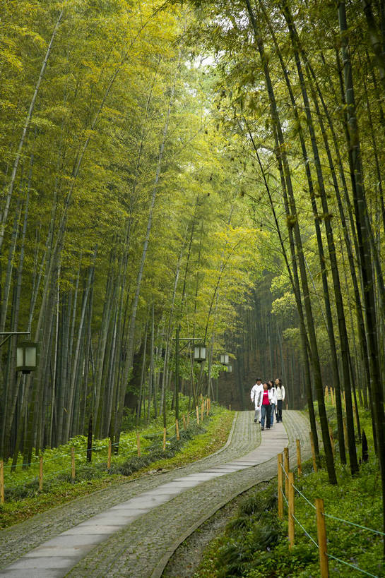竖图,彩色,室外,白天,旅游,度假,名胜古迹,标志建筑,地标,建筑,路,竹子,西湖,中国,亚洲,游人,遗迹,图片,竹林,小路,古迹,文物,娱乐,建设,古建筑,浙江,树木,浙江省,享受,休闲,旅游胜地,放松,摄影,杭州,古文明,东亚,杭州市,中华人民共和国,华东地区,省会,浙,旅行,五云山,云栖竹径,bj174