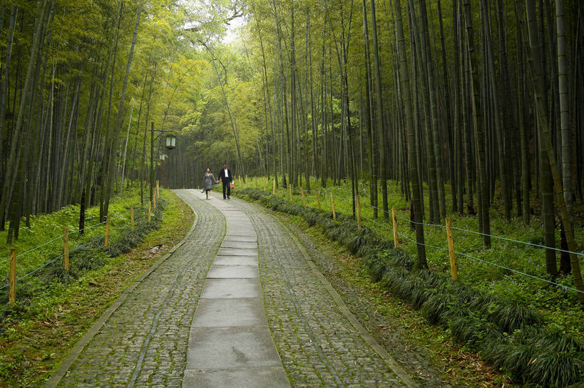横图,彩色,室外,白天,旅游,度假,名胜古迹,标志建筑,地标,建筑,路,竹子,西湖,中国,亚洲,游人,遗迹,图片,竹林,小路,古迹,文物,娱乐,建设,古建筑,浙江,树木,浙江省,享受,休闲,旅游胜地,放松,摄影,杭州,古文明,东亚,杭州市,中华人民共和国,华东地区,省会,浙,旅行,五云山,云栖竹径,bj174