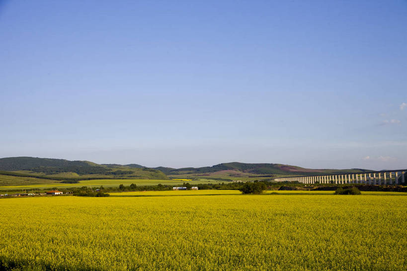 无人,横图,彩色,室外,白天,草地,草原,田园,大桥,桥梁,中国,亚洲,图片,高架,桥,白云,天空,自然,蒙,摄影,风光,空旷,原野,高架桥,东亚,内蒙古,高架道路,跨线桥,中华人民共和国,华北地区,内蒙古自治区,阿尔山,bj174